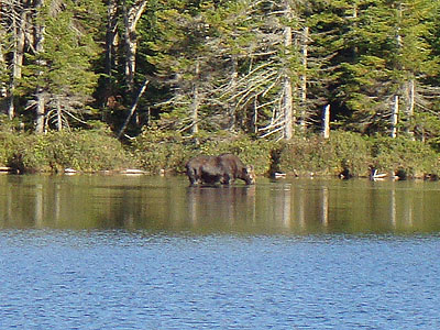 Week 37 of the year in Maine